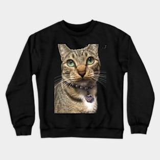 Evil kitty that is a meanie Crewneck Sweatshirt